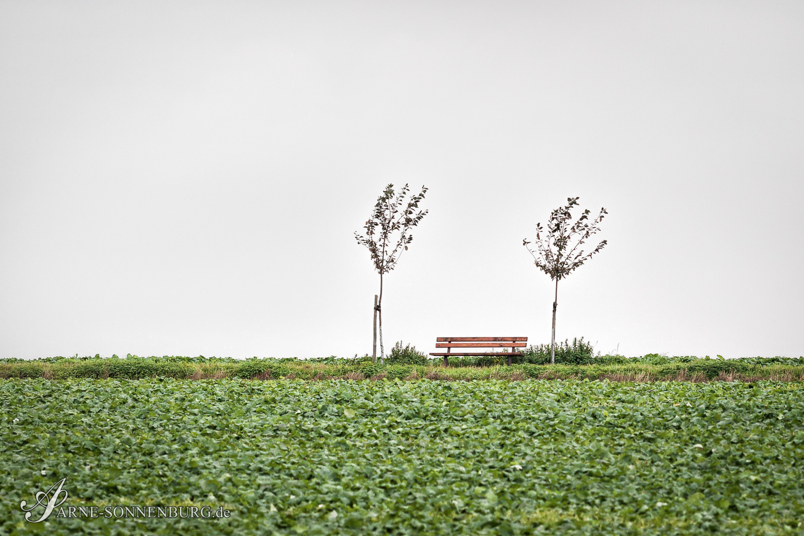 Landscape by ArneSonnenburg 130901