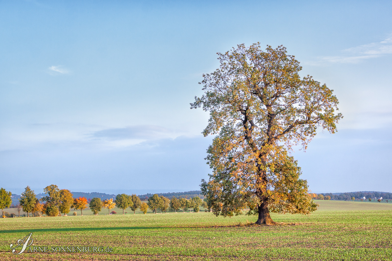 Landscape by ArneSonnenburg 160942