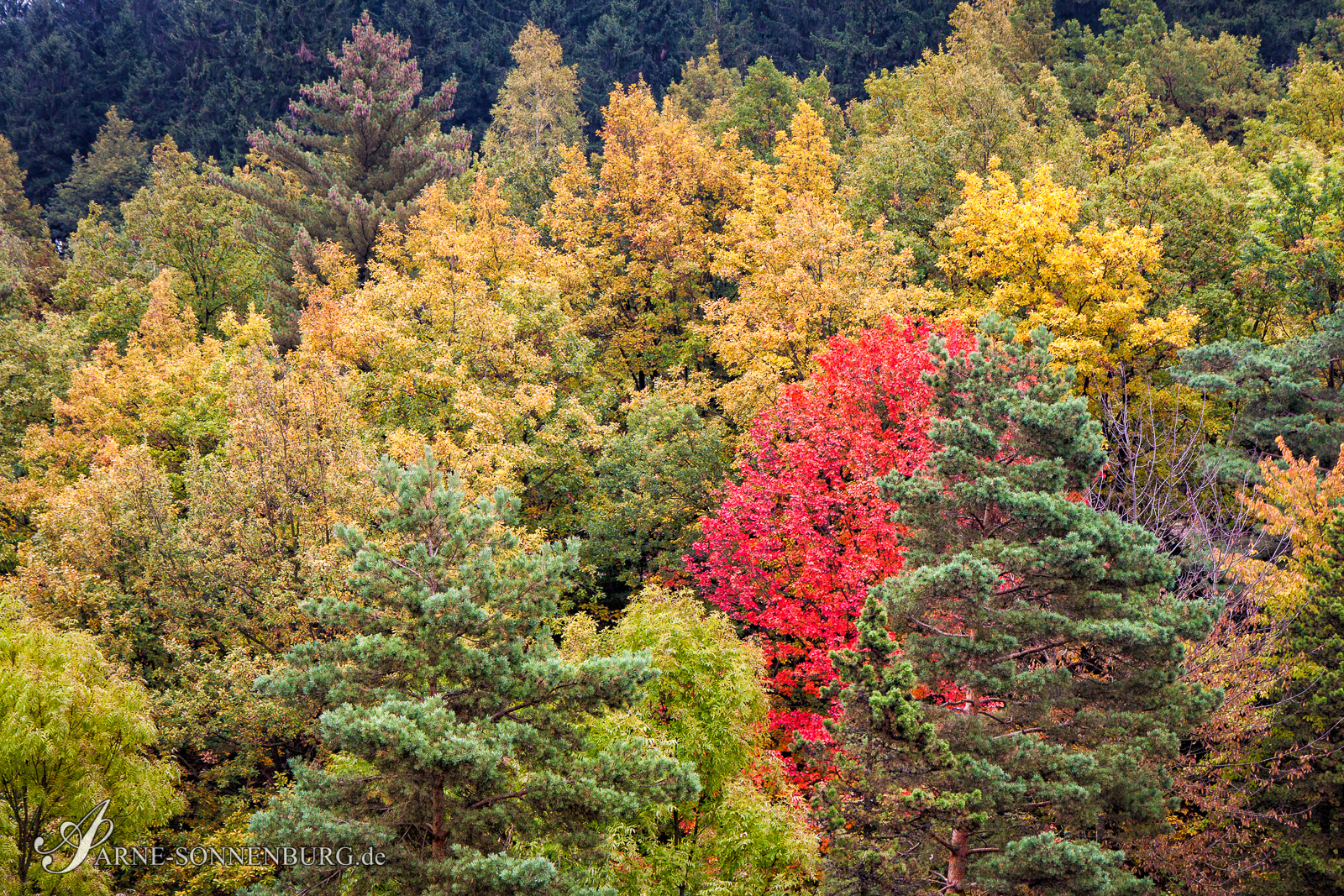StructNLight by ArneSonnenburg 090914