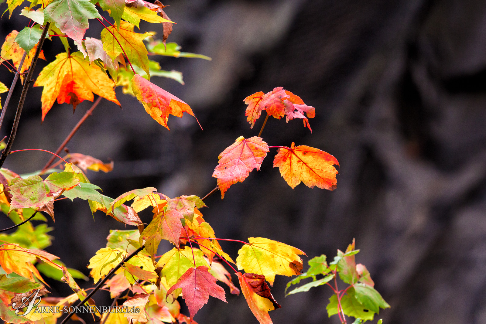 StructNLight by ArneSonnenburg 120938