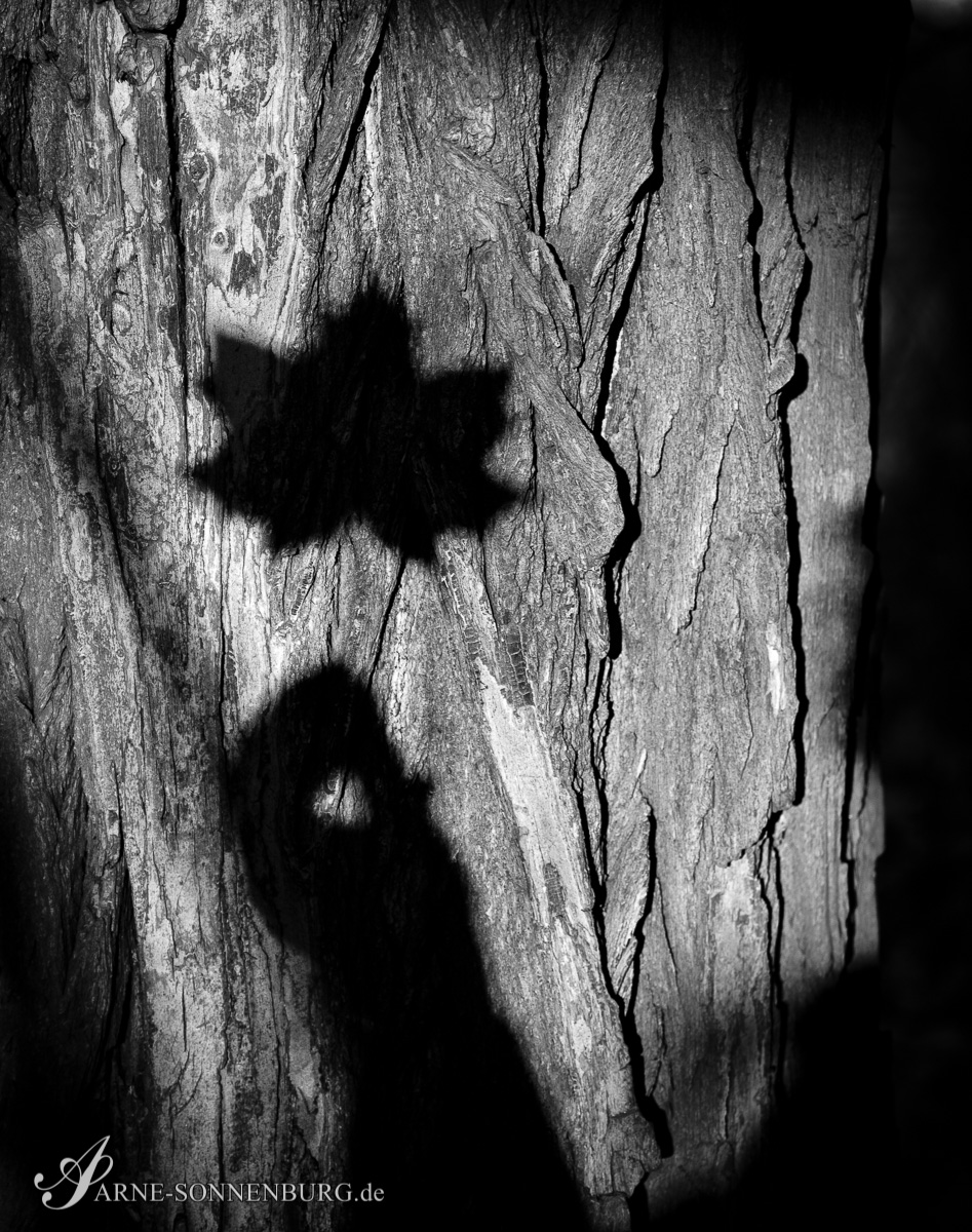 StructNLight by ArneSonnenburg 131536