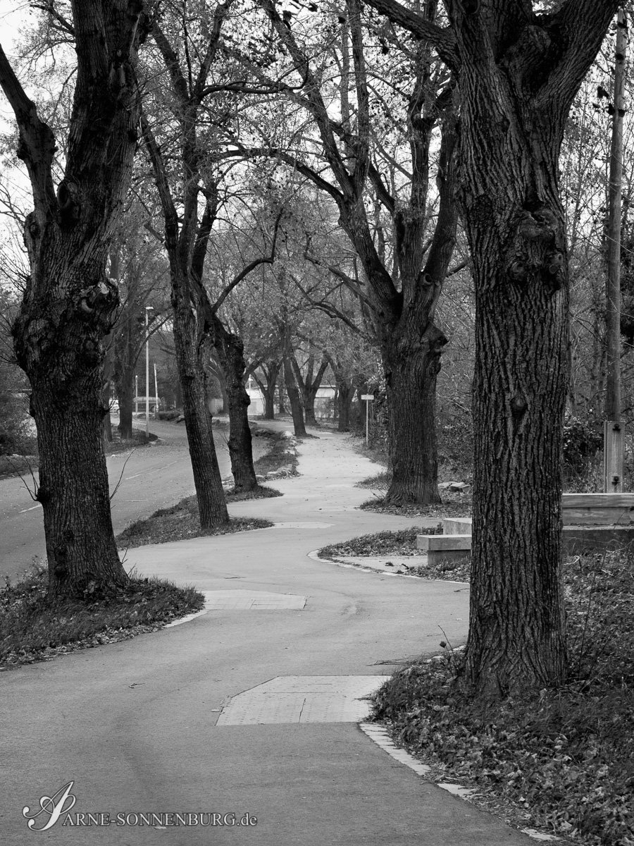 StructNLight by ArneSonnenburg 141416