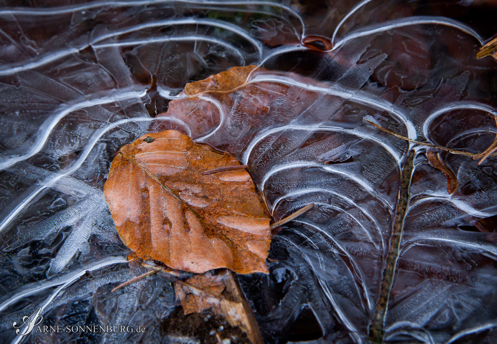 StructNLight by ArneSonnenburg 151214