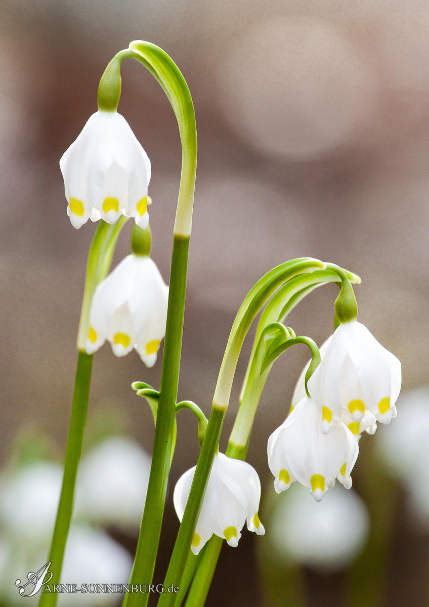 StructNLight by ArneSonnenburg 152037