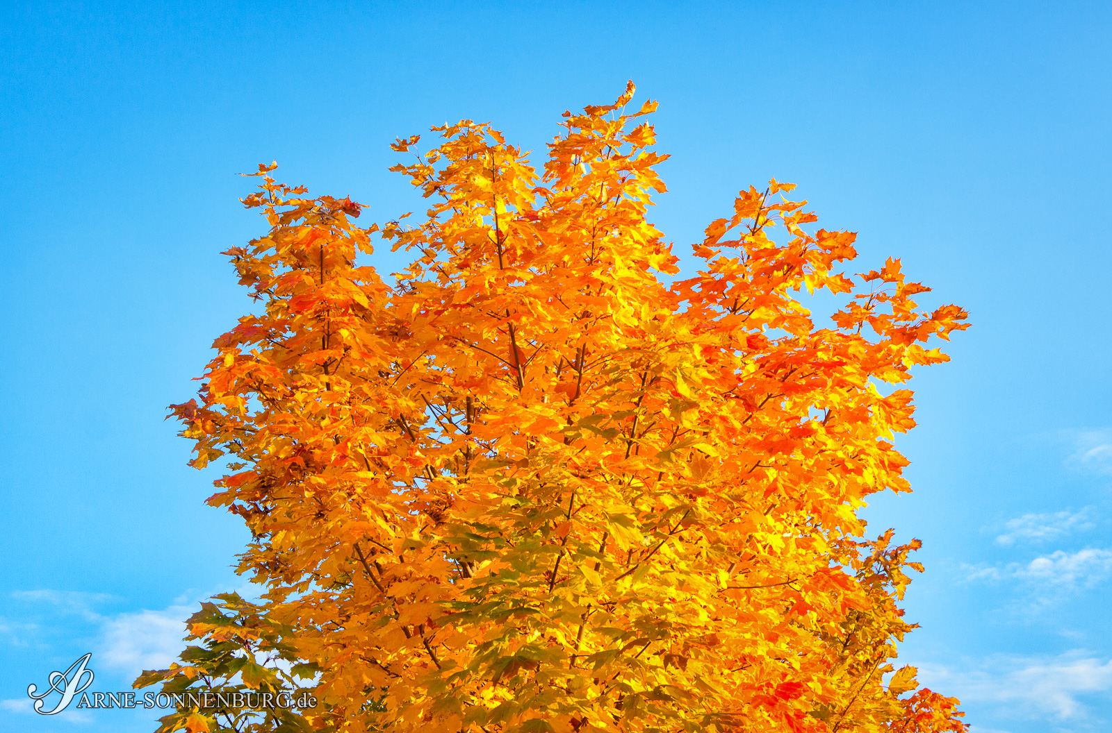 StructNLight by ArneSonnenburg 160949